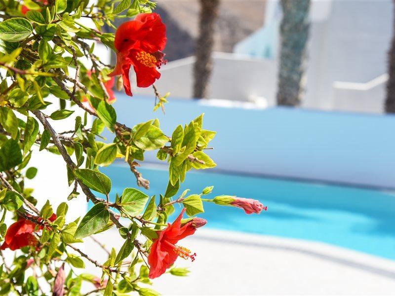 פריסה Kouros Village Hotel - Adults Only מראה חיצוני תמונה